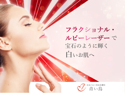 日本の美肌プラン