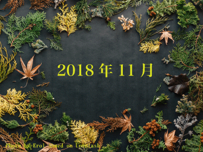 2018年11月の施術