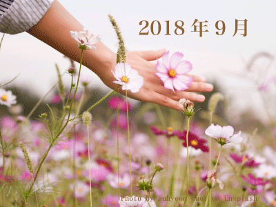 2018年9月の施術
