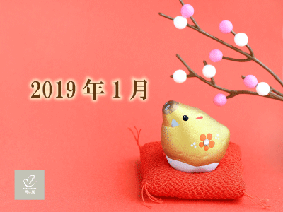 2019 年1月