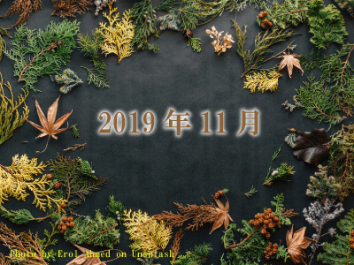 2019年11月