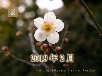 2019 年2月
