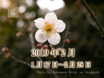 2019 年2月