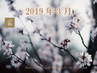 2019 年3月