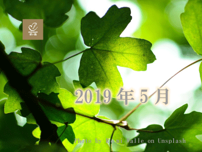 2019 年5月
