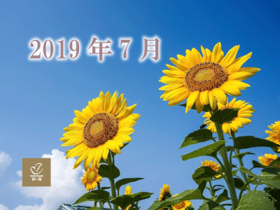 2019年7月