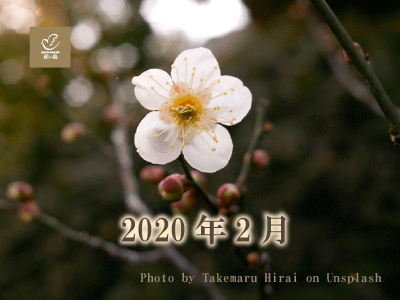 2020年2月