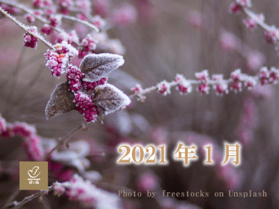 2021年1月