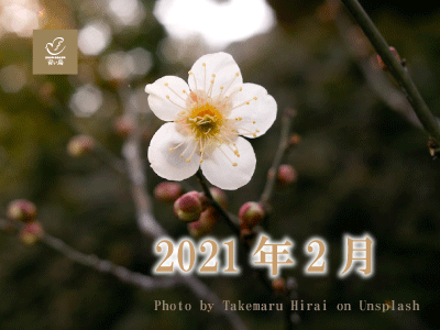 2021年2月