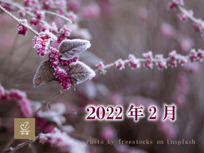 2022年2月