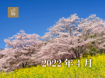 2022年4月