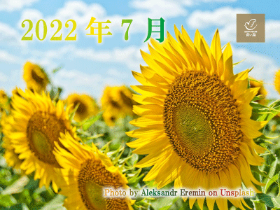 2022年7月