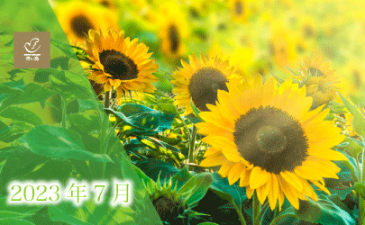 2023年7月