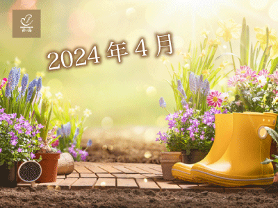 2024年4月