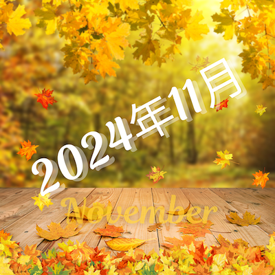2024年11月