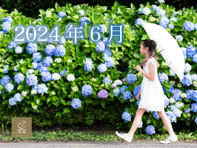 2024年6月
