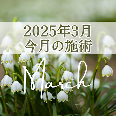 2025年3月