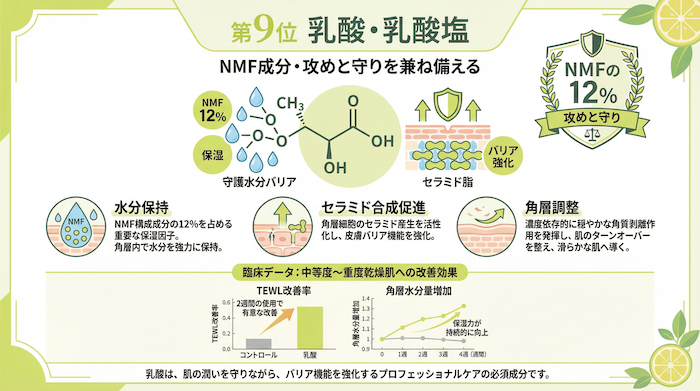 第9位| 【医師解説】乾燥肌を救う保湿成分ランキング2026