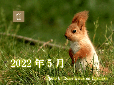 2022年5月