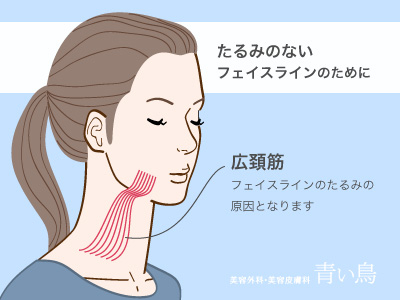 広頚筋