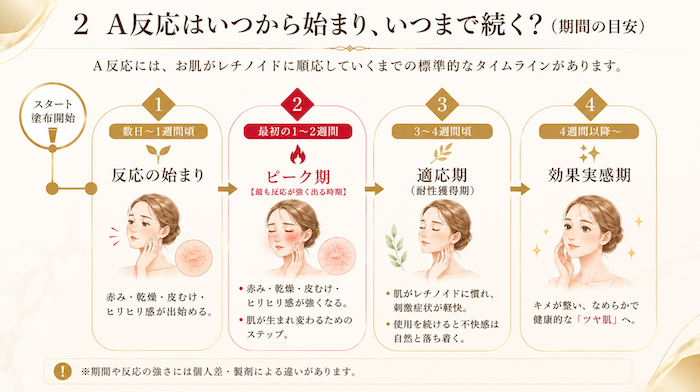 レチノイドに順応していくまでの標準的なタイムライン(スケジュール)