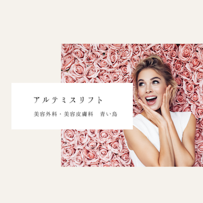アルテミスリフト