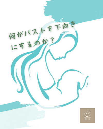 授乳は乳房下垂の原因にはなりません