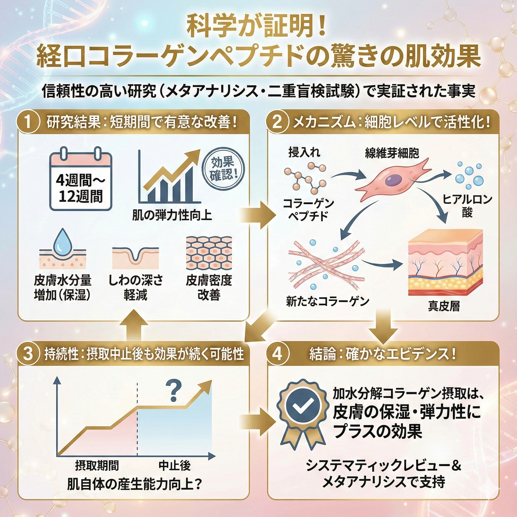 コラーゲンペプチドのエビデンス