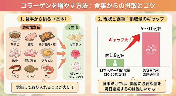 コラーゲンの摂取