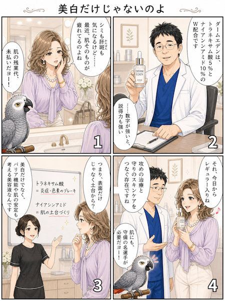 港区浜松町のダームエデン美容液｜トラネキサム酸5%・ナイアシンアミド10%