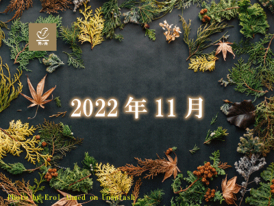 2022年11月