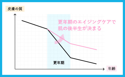 肌の後半生が決る