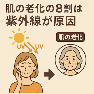 肌の老化の8割は紫外線が原因