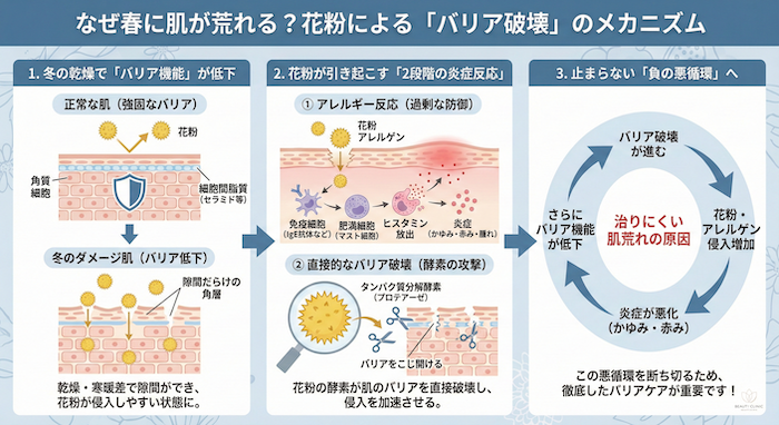 バリア破壊のメカニズム