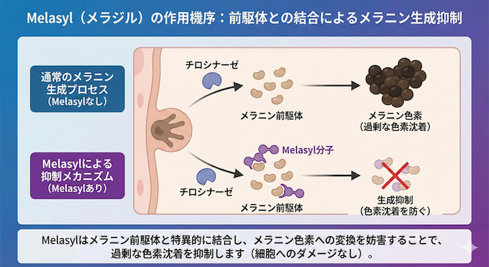 次世代美白成分メラジル