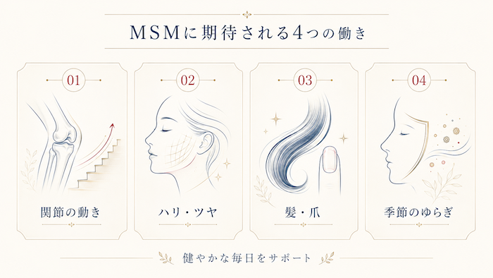 MSMの4つの働き