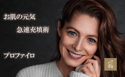 お肌の倍速再生術、プロファイロ