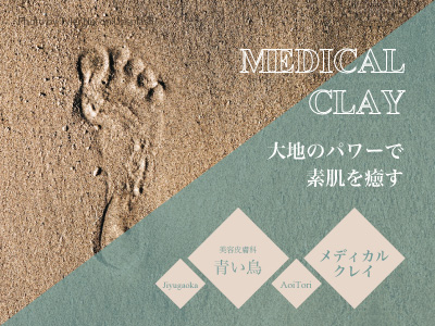 メディカル・クレイ