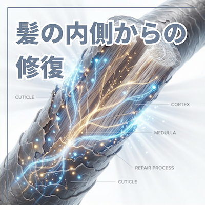 髪の内側からの修復