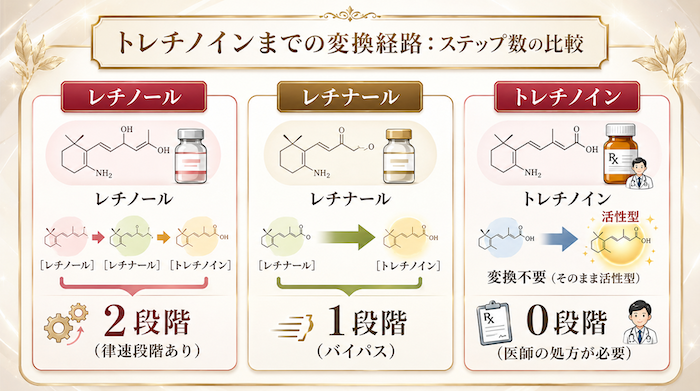 レチナールとは？効果・レチノールとの違い・使い方｜港区の青い鳥