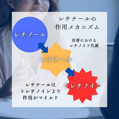 レチナールの代謝:港区でレチナールアクティブをお求めなら美容外科・美容皮膚科 青い鳥
