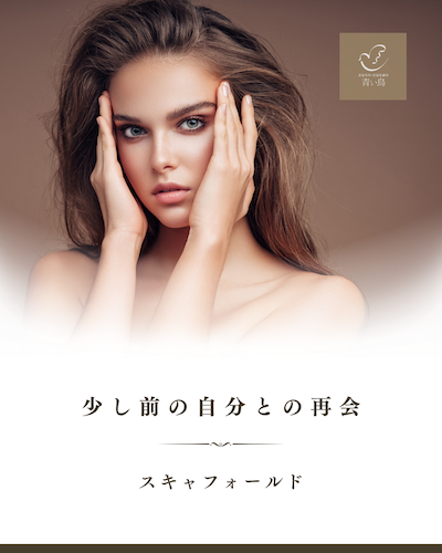 少し前の自分との再会:港区でスキャフォールドを受けるなら美容外科・美容皮膚科 青い鳥
