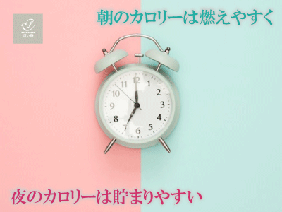 朝と夜を身体は分ける